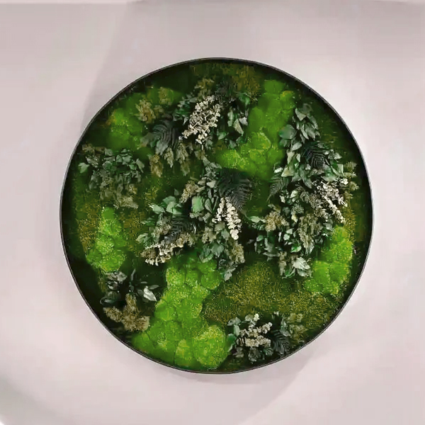 Botanica 2