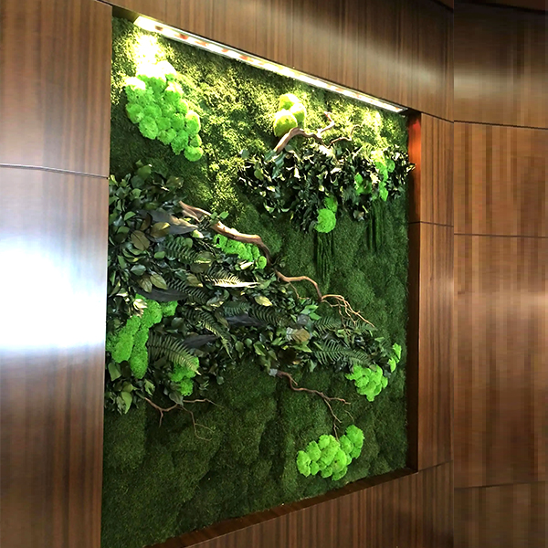 Botanica 3