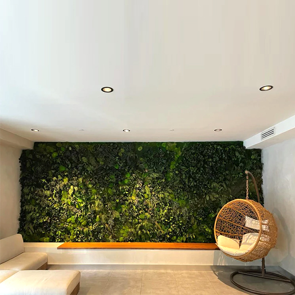 Botanica 4