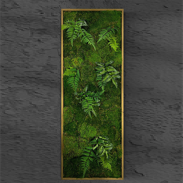 Botanica 5