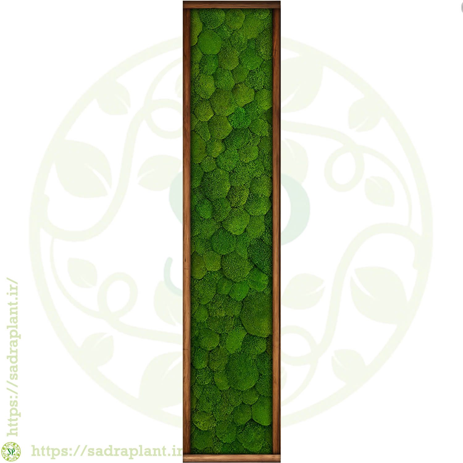 Celtic 1